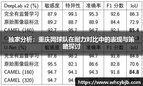 独家分析：重庆网球队在耐力对比中的表现与策略探讨