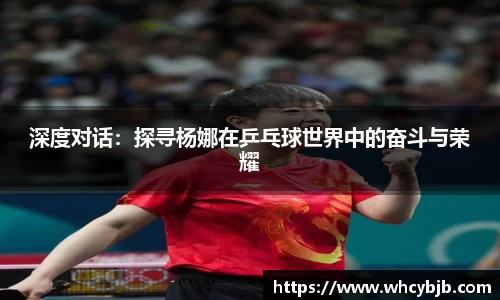 深度对话：探寻杨娜在乒乓球世界中的奋斗与荣耀