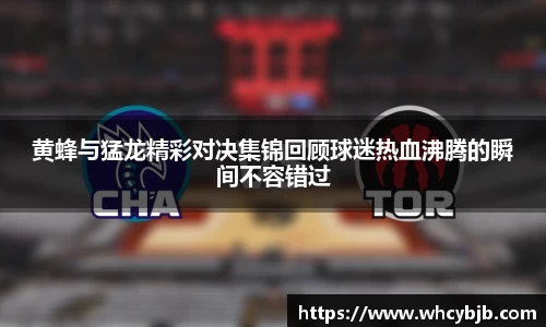 黄蜂与猛龙精彩对决集锦回顾球迷热血沸腾的瞬间不容错过